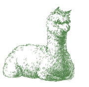 alpaca_voeding_1-01